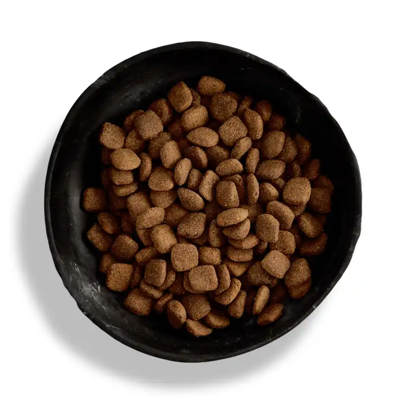 Zertifiziert Canagan Meadow Lamb Dogs 6 Kilogramm Hundetrockenfutter